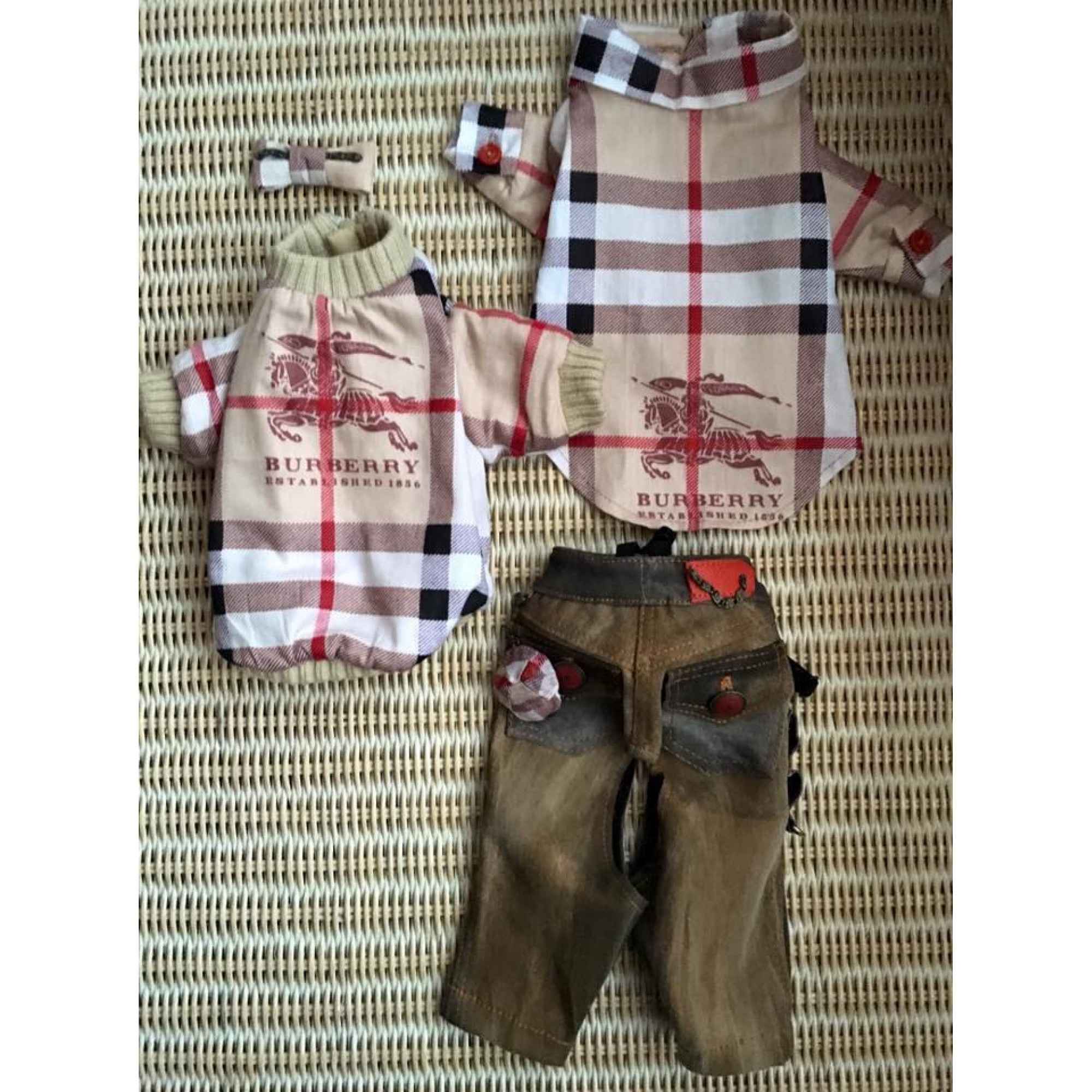 Якенце, ризка, дънки и панделка “My Yorkie Fashion Icon collection by FREA”