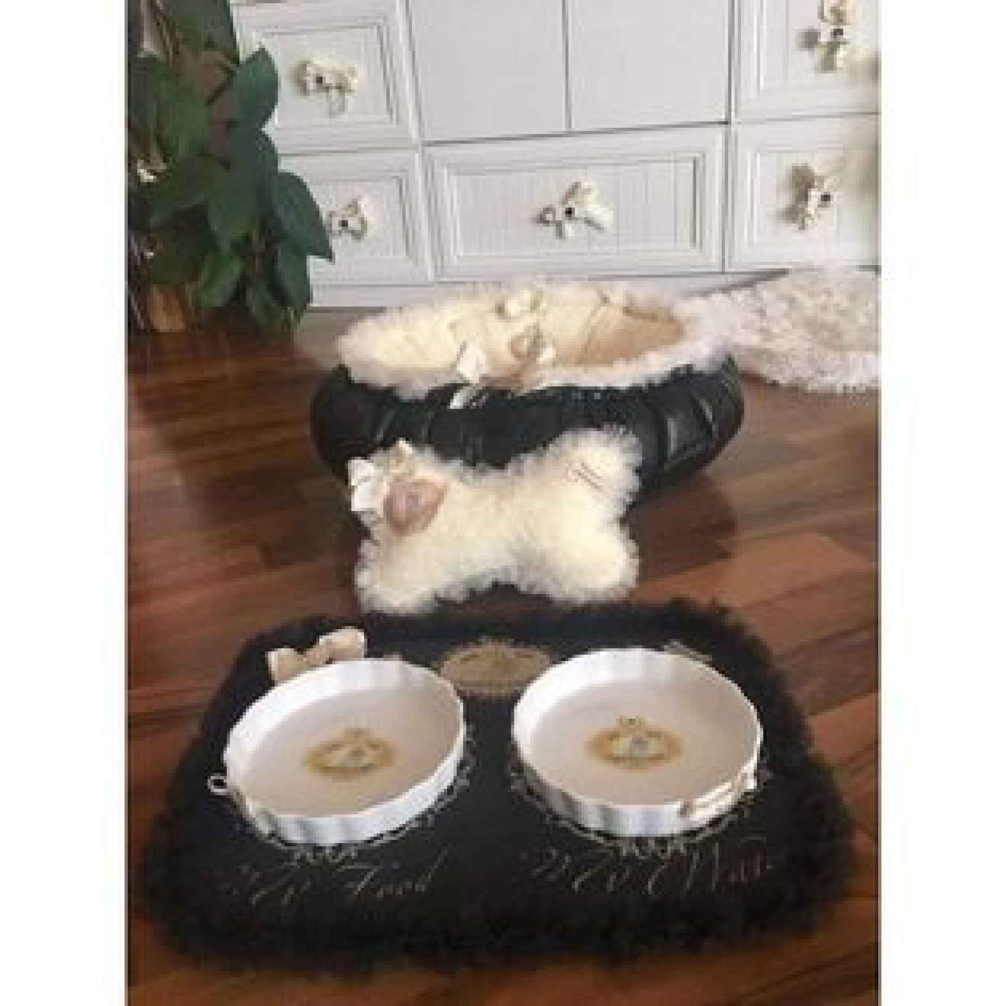 Комплект за удобство за дома на вашето Обичковче "My Sweet Yorkie Home collection by FREA" 