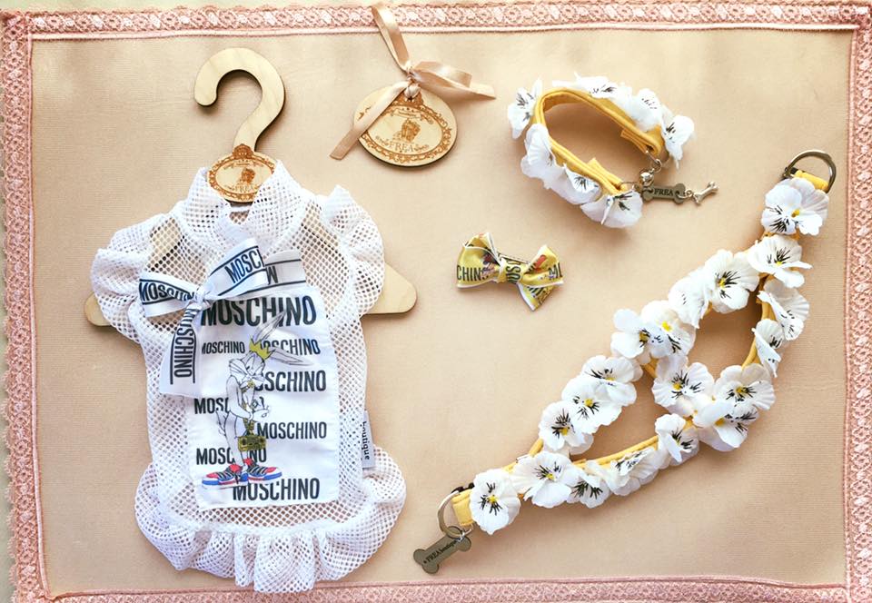 Моден комплект за всеки ден FREA’s Today Fashion Outfit