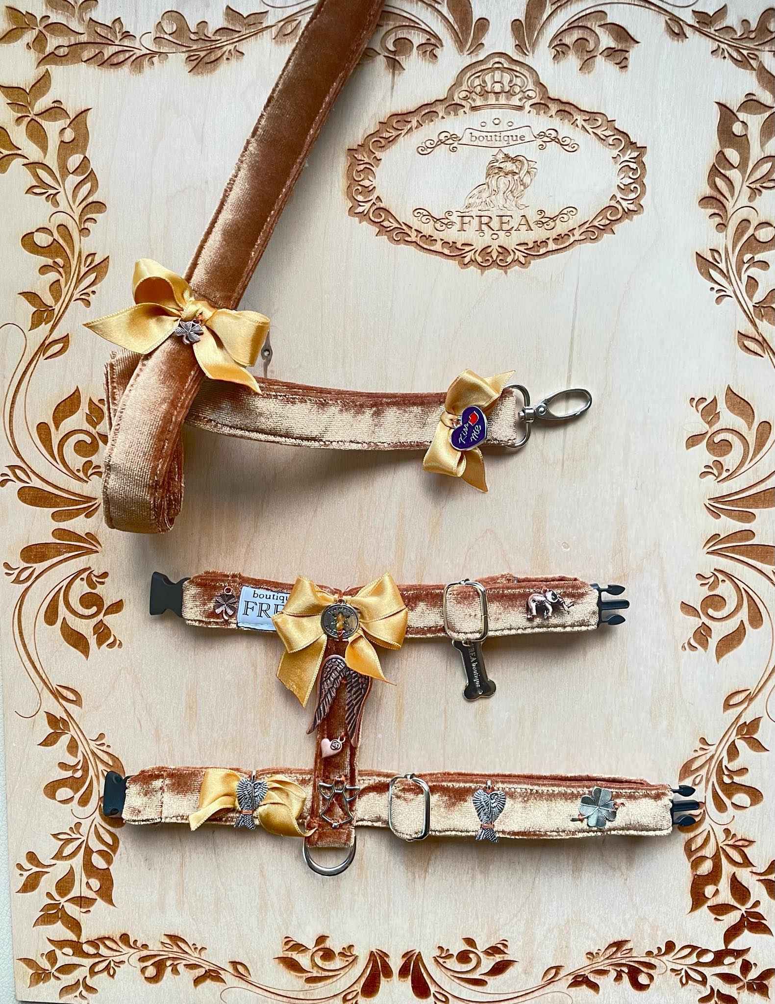 Нагръдниче и повод "My Yorkie Angel collection by FREA"