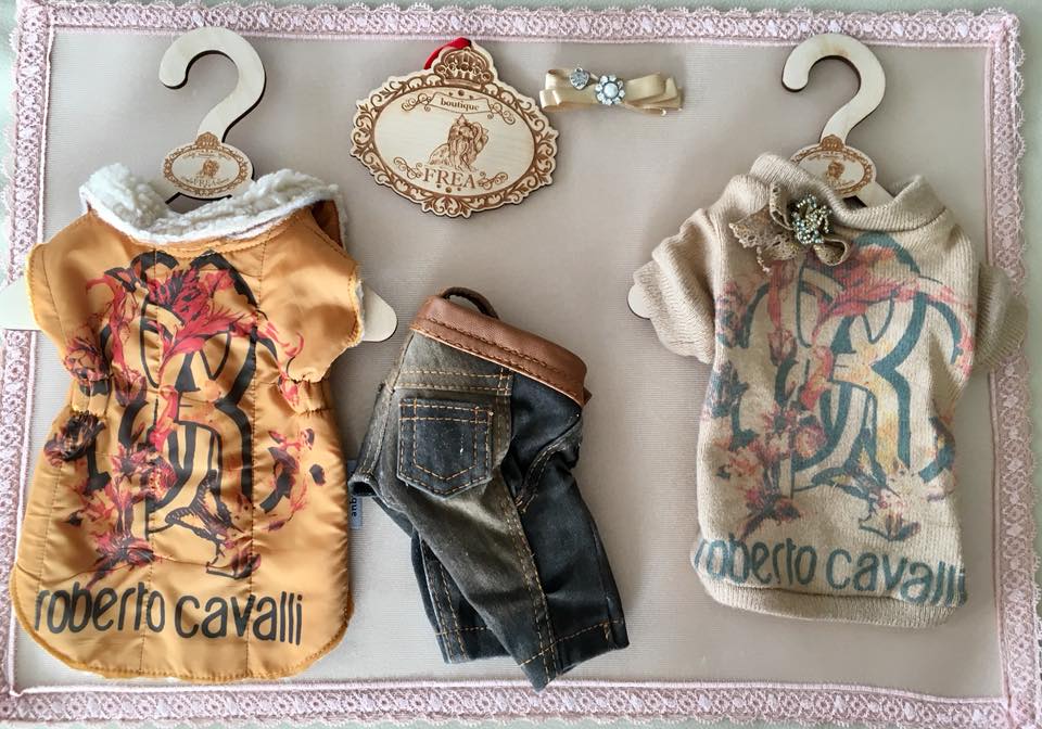 Моден комплект за всеки ден FREA’s Today Fashion Outfit