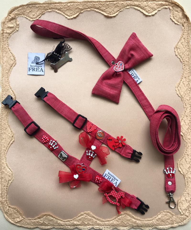 Нагръдниче и повод "My Yorkie Love collection by FREA"