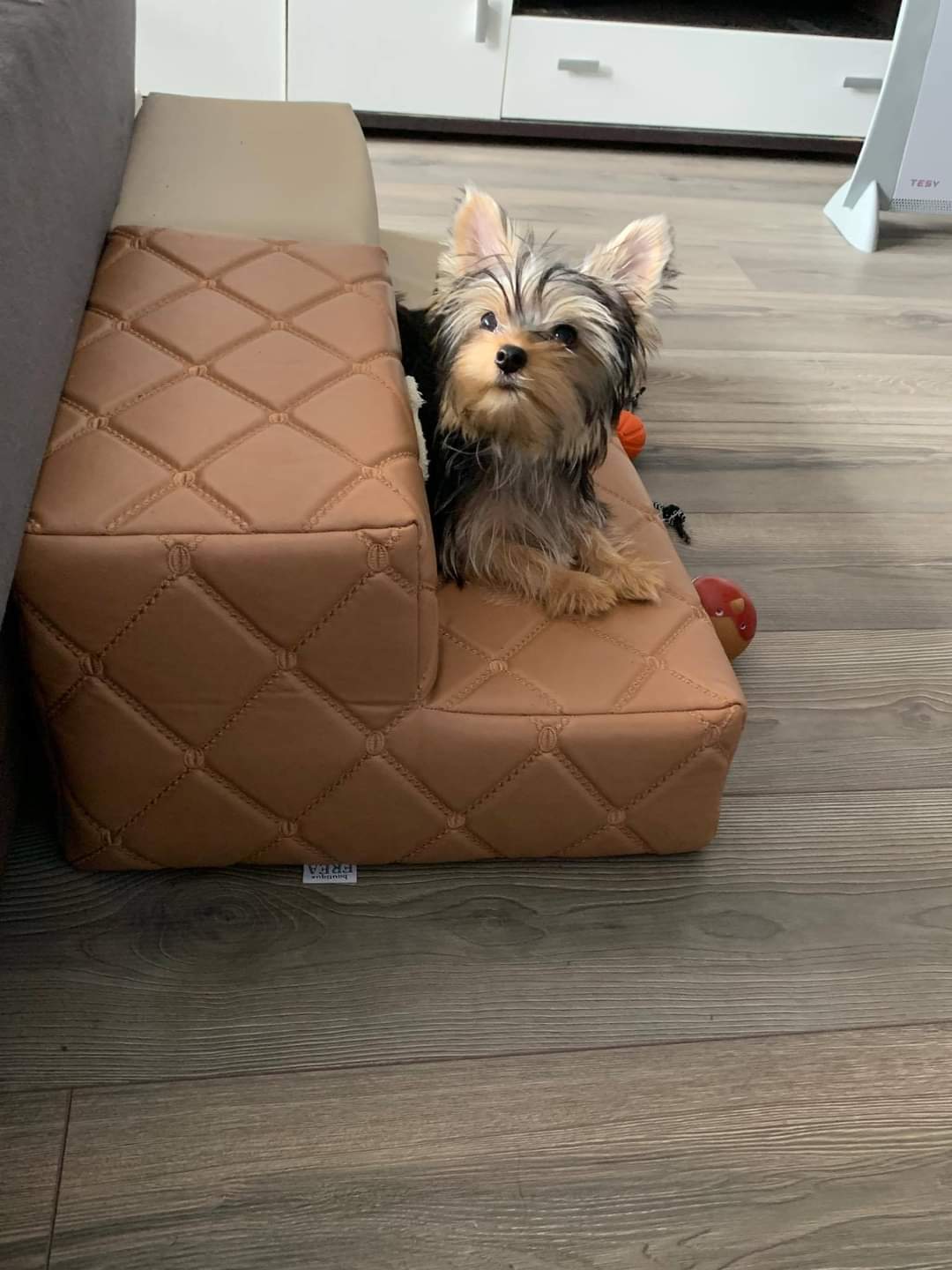 Стълбичка ”My Sweet Yorkie Home collection by FREA"