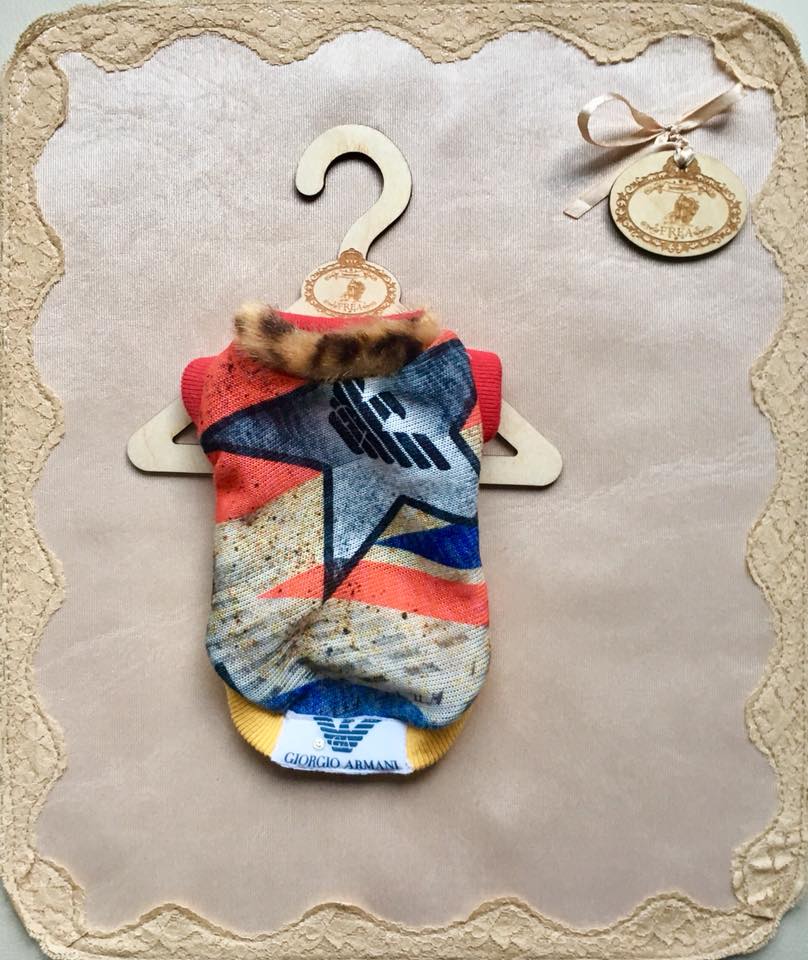 Пуловерче “My Yorkie Fashion Icon collection by FREA”